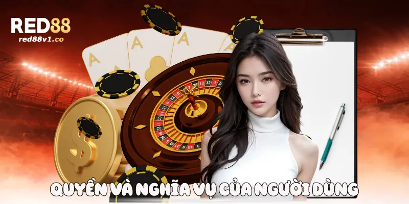 Quyền và nghĩa vụ của người dùng