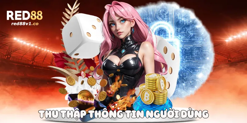 Thu thập thông tin người dùng