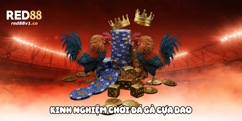 Kinh nghiệm chơi đá gà cựa dao