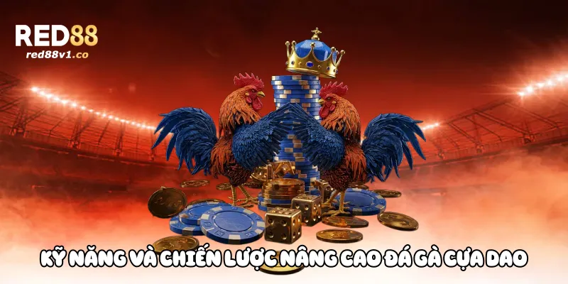 Kỹ năng và chiến lược nâng cao đá gà cựa dao