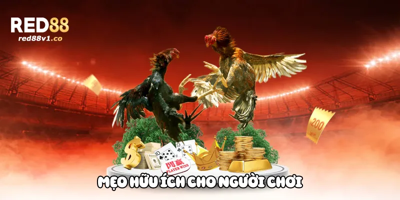Mẹo hữu ích cho người chơi